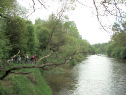 Schrot-Mündung vom polnischen Ufer