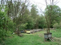 Bienenkästen in Wendisch Musta